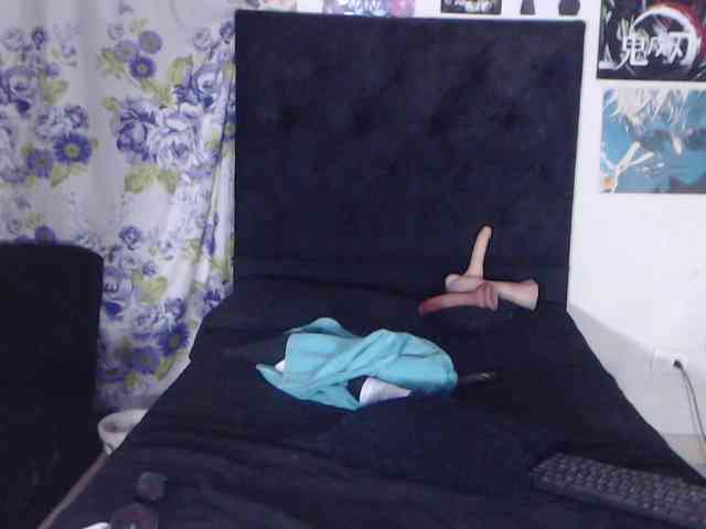 Darkitty webcam