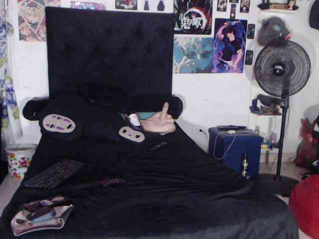 Darkitty webcam
