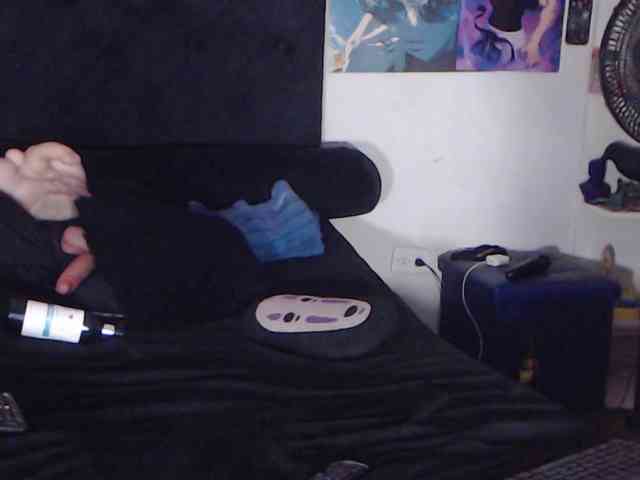 Darkitty webcam