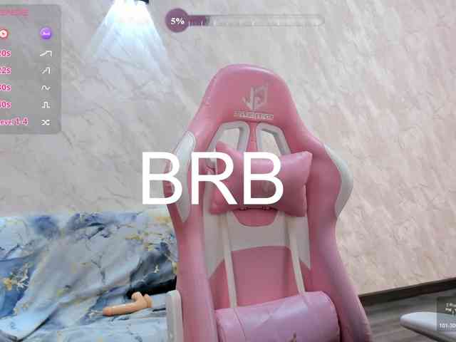 gentlemuse webcam
