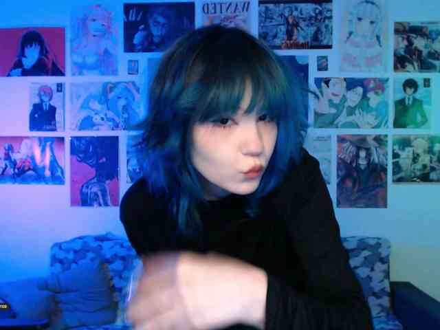 Hugo-Min webcam