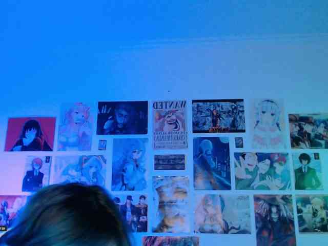 Hugo-Min webcam