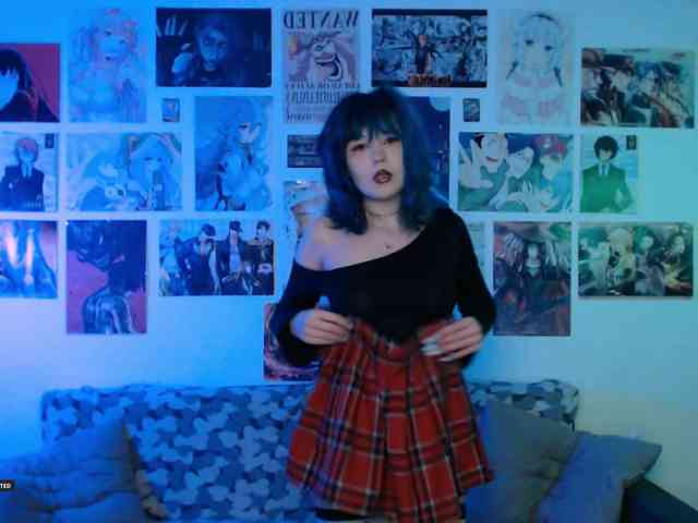 Hugo-Min webcam