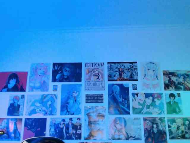 Hugo-Min webcam