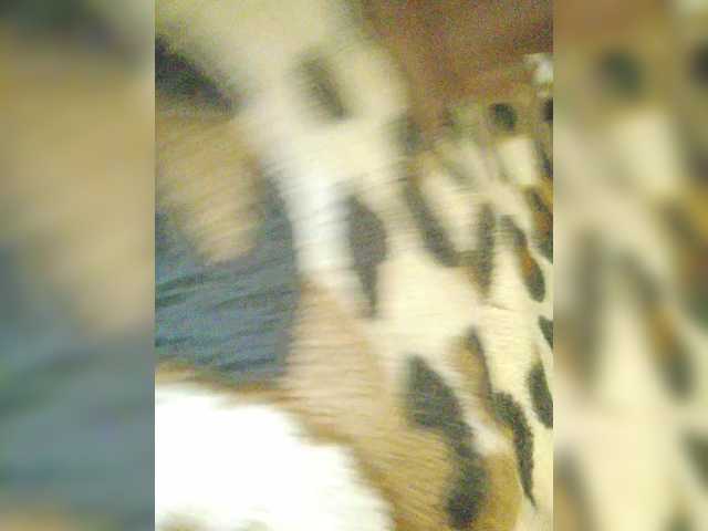 _Toxic_Tiger_