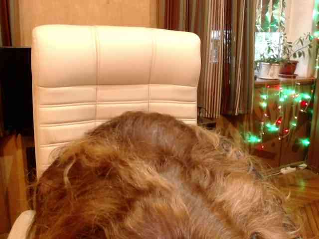 NormaGin webcam