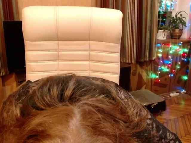 NormaGin webcam