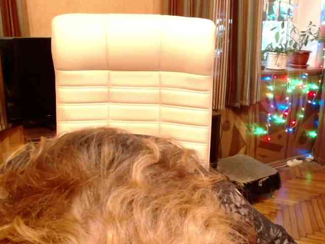 NormaGin webcam