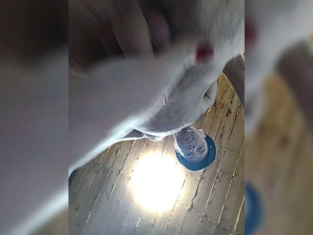 Innokentiy449