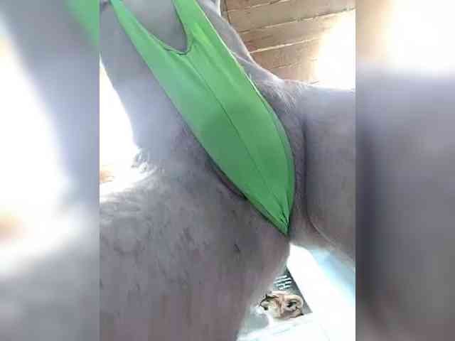 KeshVi777a webcam
