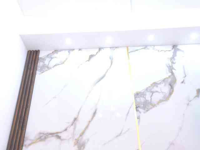 Karla-stone1 webcam