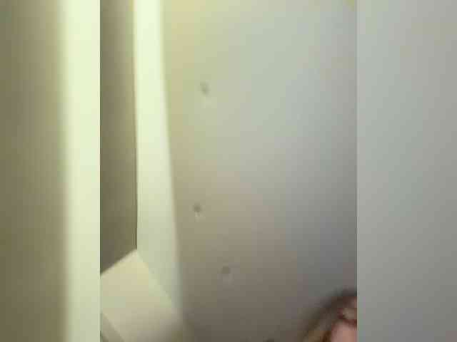 Pekkaboo webcam