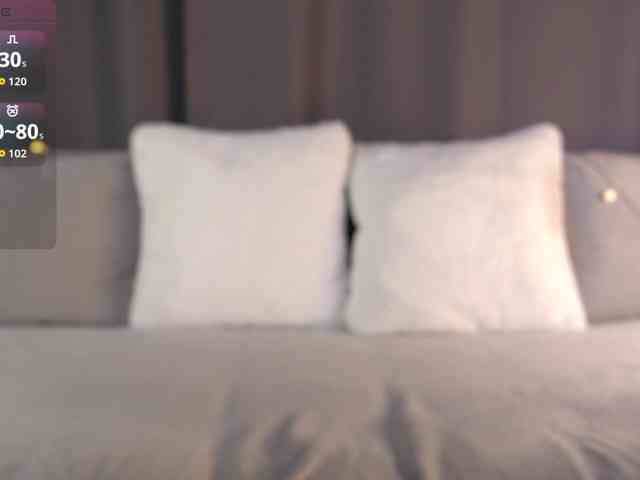 foosteer webcam