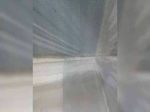 princillah1 webcam
