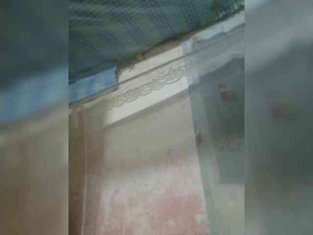 princillah1 webcam