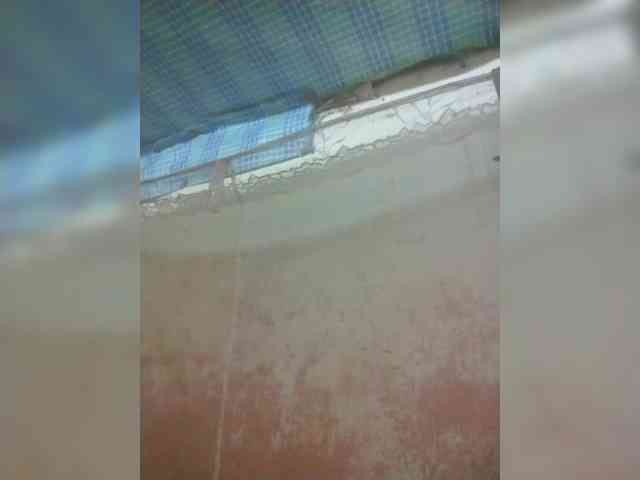 Modèle: princillah1