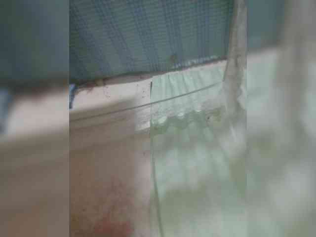 princillah1 webcam