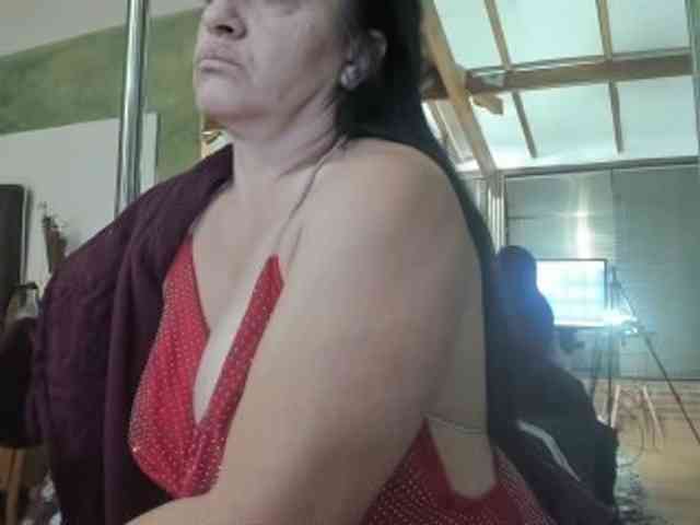 Modelo: IslaIRON