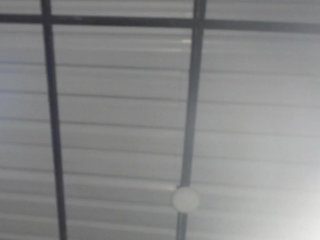 candylovet Porn Show