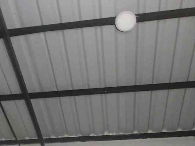 candylovet webcam