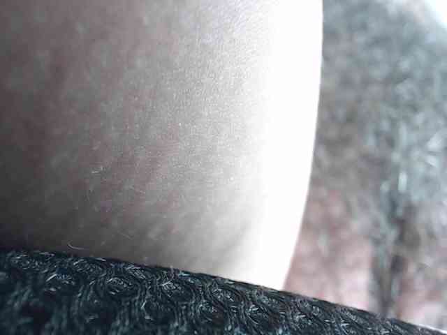candylovet webcam