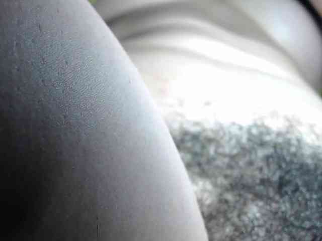 candylovet webcam