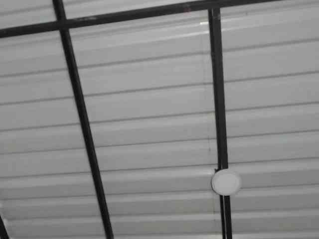 candylovet webcam