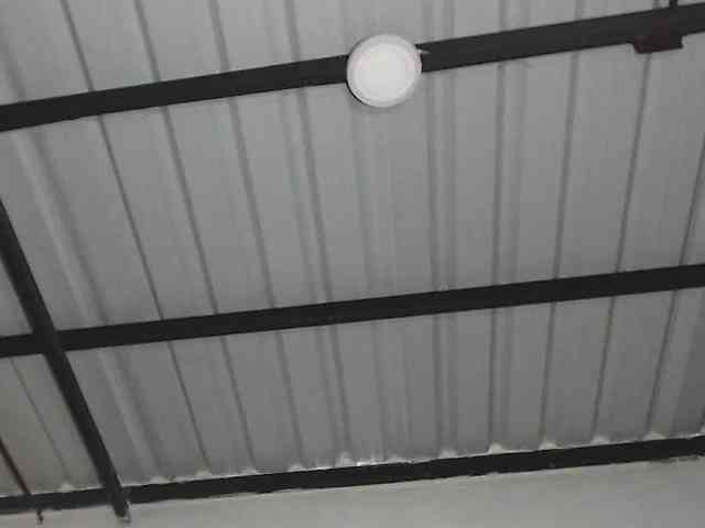 candylovet webcam