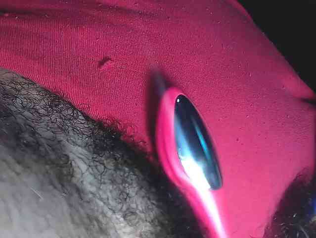 candylovet