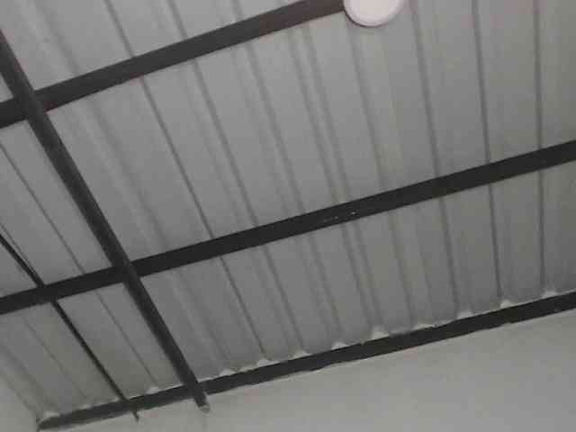 candylovet webcam