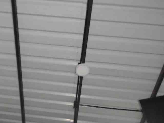 candylovet webcam