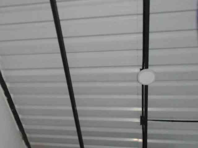 candylovet webcam