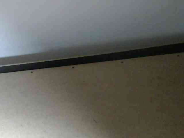 candylovet webcam