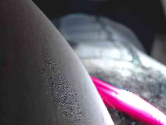candylovet