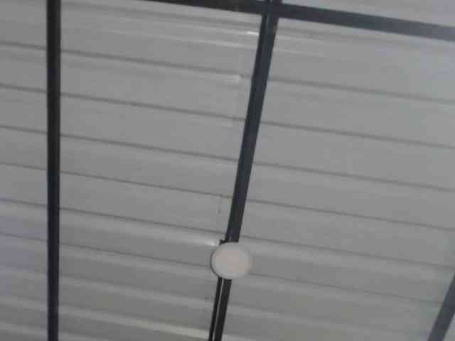 candylovet webcam