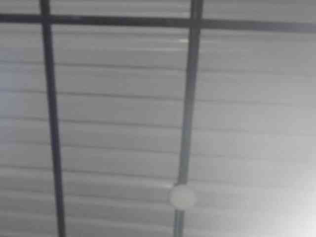 candylovet webcam