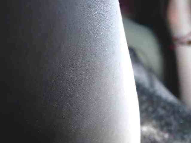 candylovet