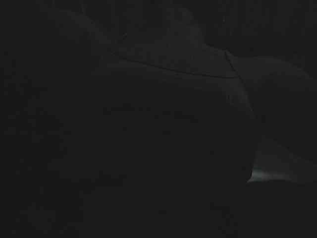 candylovet webcam