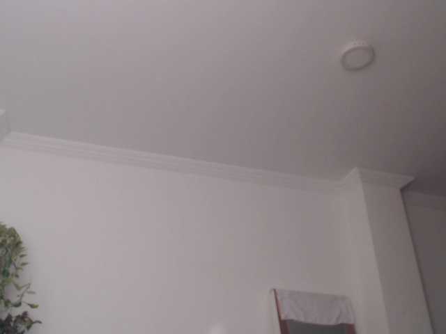 seiya5 live cam on BongaCams