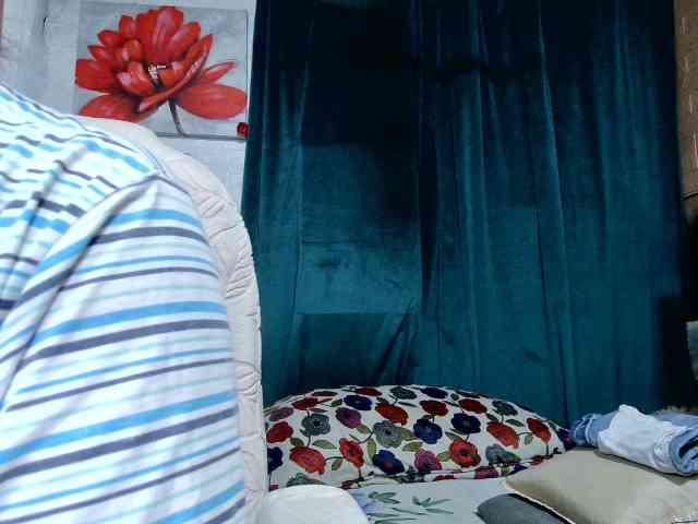 Mecel webcam