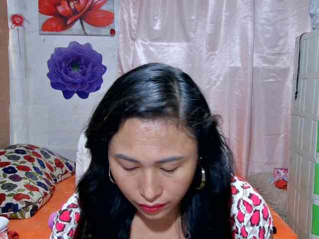Mecel webcam