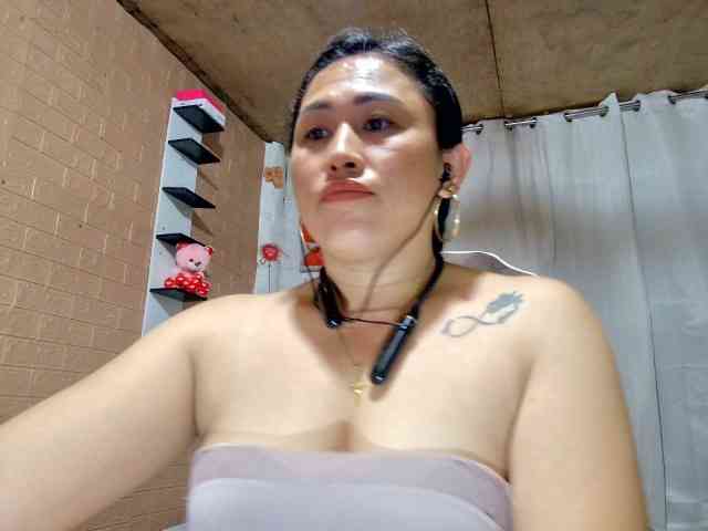 Mecel webcam
