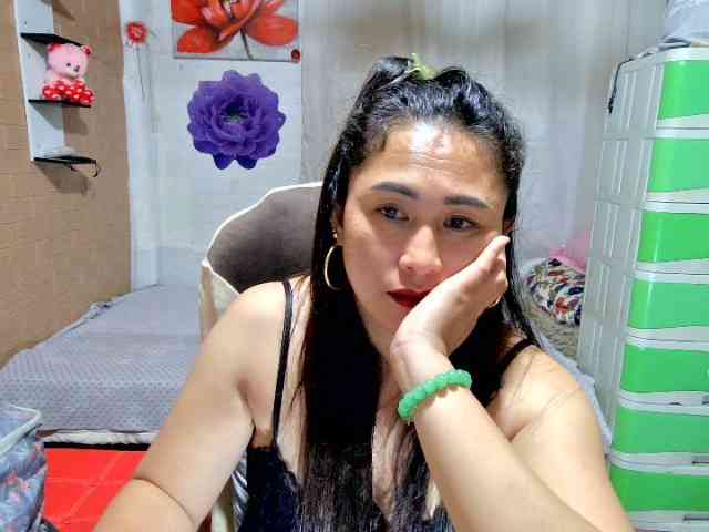 Mecel webcam