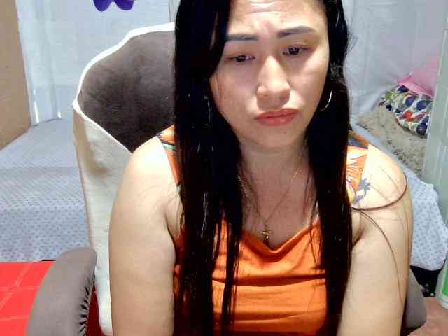 Mecel webcam