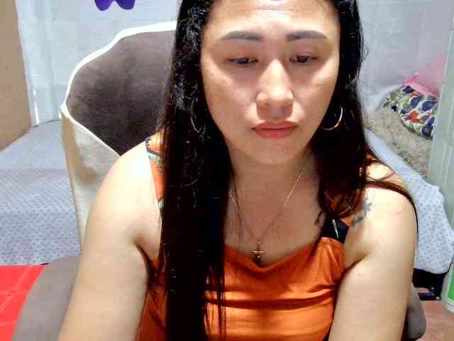 Mecel webcam