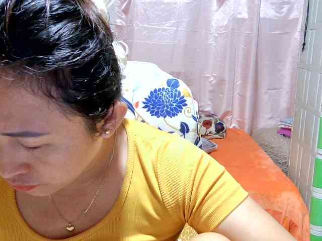 Mecel webcam