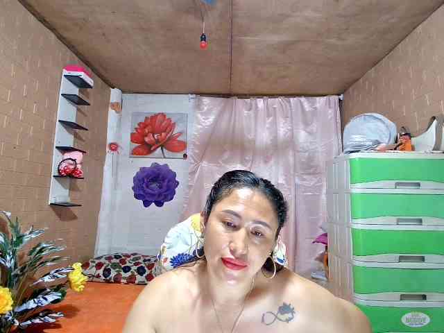 Mecel webcam