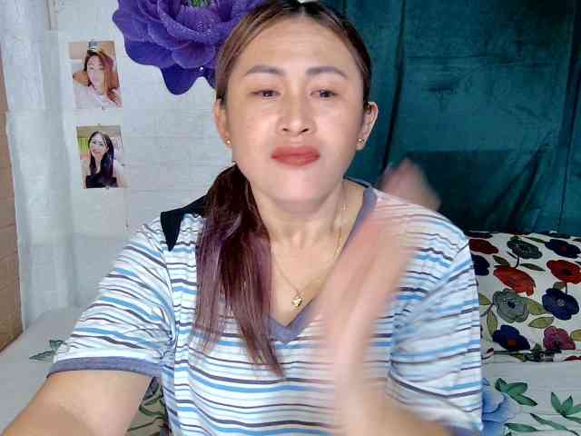 Mecel webcam