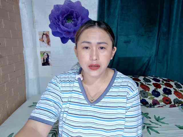 Mecel webcam
