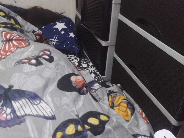 candyshane, en vivo ahora en BongaCams